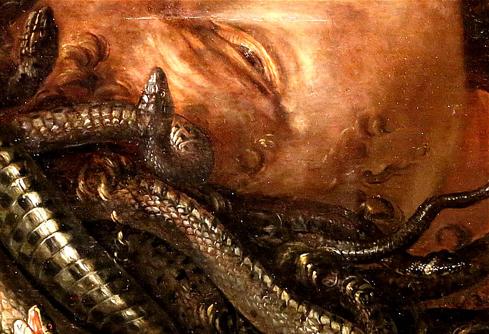 cabeza de medusa van schrieck