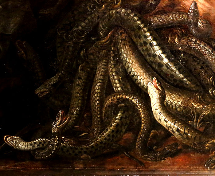 cabeza de medusa van schrieck