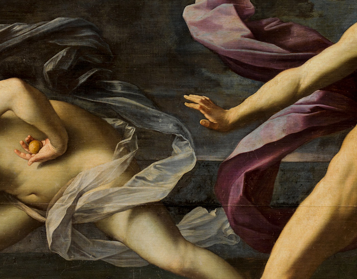 hipomenes atalanta reni3