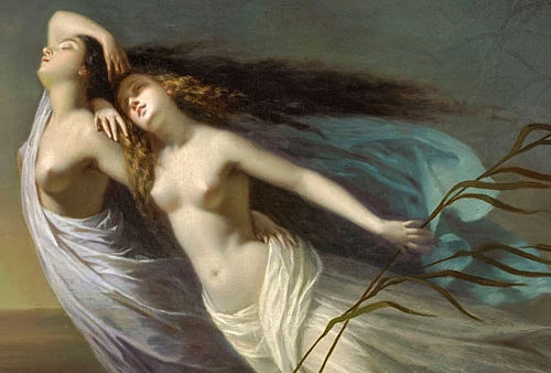 La danza letal de las Willis